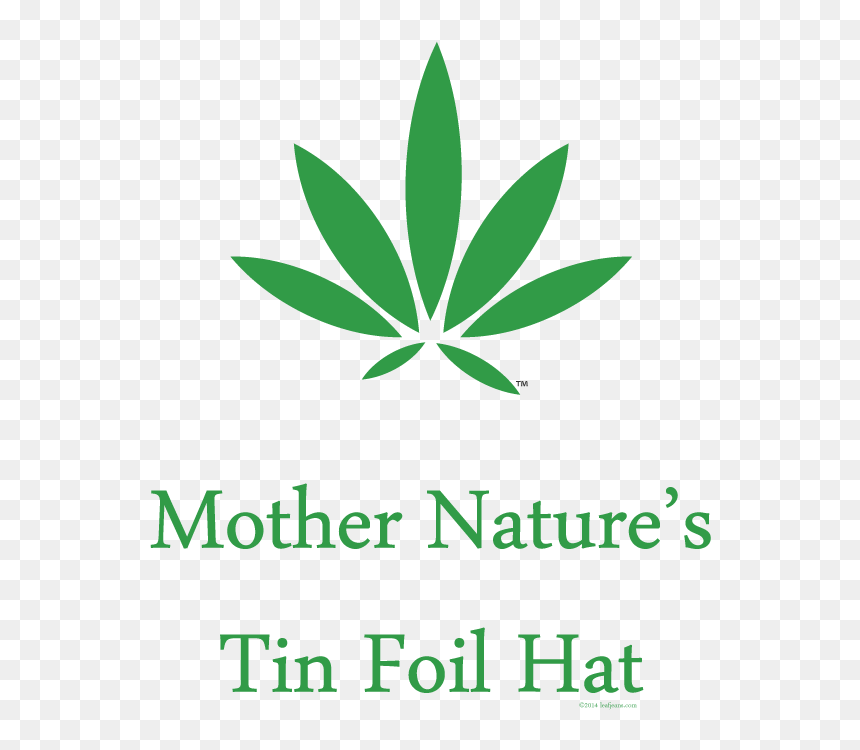 "mother Nature"s Tin Foil Hat - Plant Stem, HD Png Download - tinfoil hat png