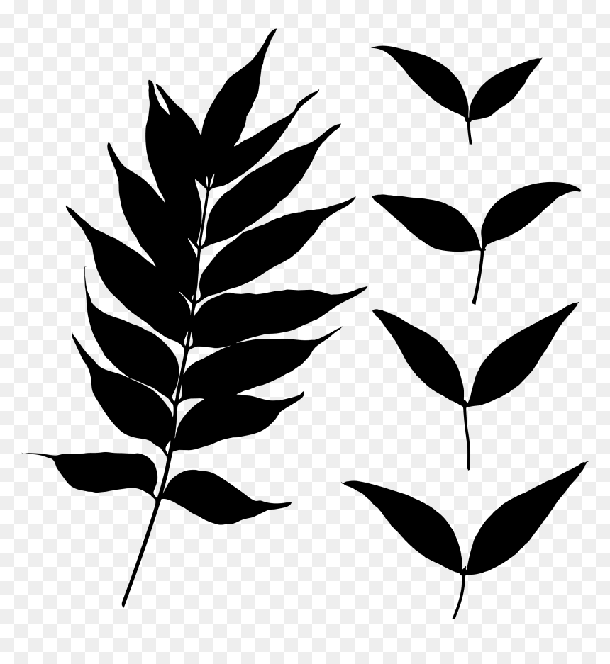 Portable Network Graphics , Png Download - Leaf Top View Free Png, Transparent Png - leaf silhouette png