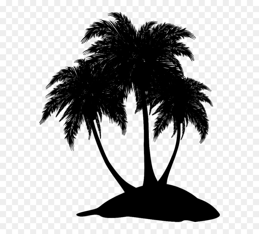 Asian Palmyra Palm Black & White - Asian Palmyra Palm, HD Png Download - leaf silhouette png