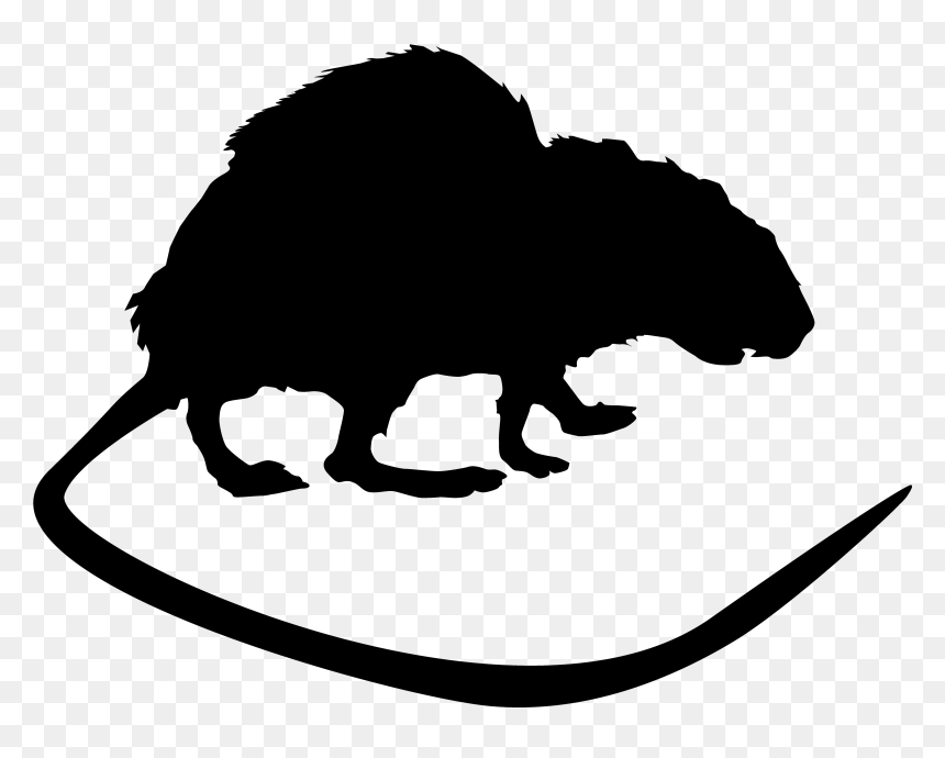 Rat Ant Perth Pest Cockroach - Pest, HD Png Download - rat silhouette png