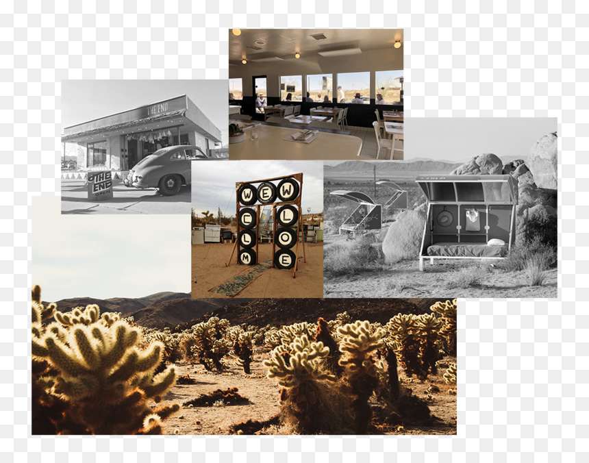 Desert Southwest Joshua Tree Header - House, HD Png Download - desert tree png
