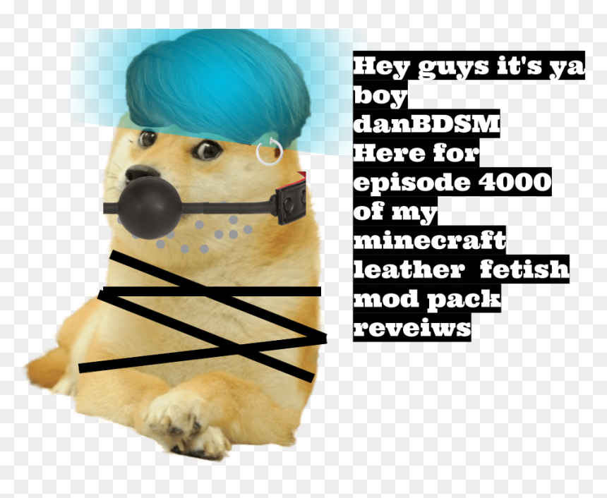 Hey Guys It"s Ya Boy Danbdsm Here For Episode 4000 - Pug, HD Png Download - minecraft dog png
