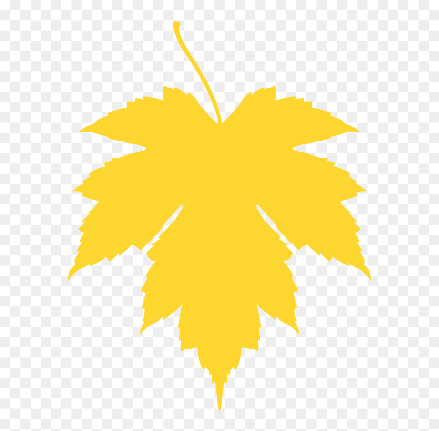 Illustration, HD Png Download - leaf silhouette png
