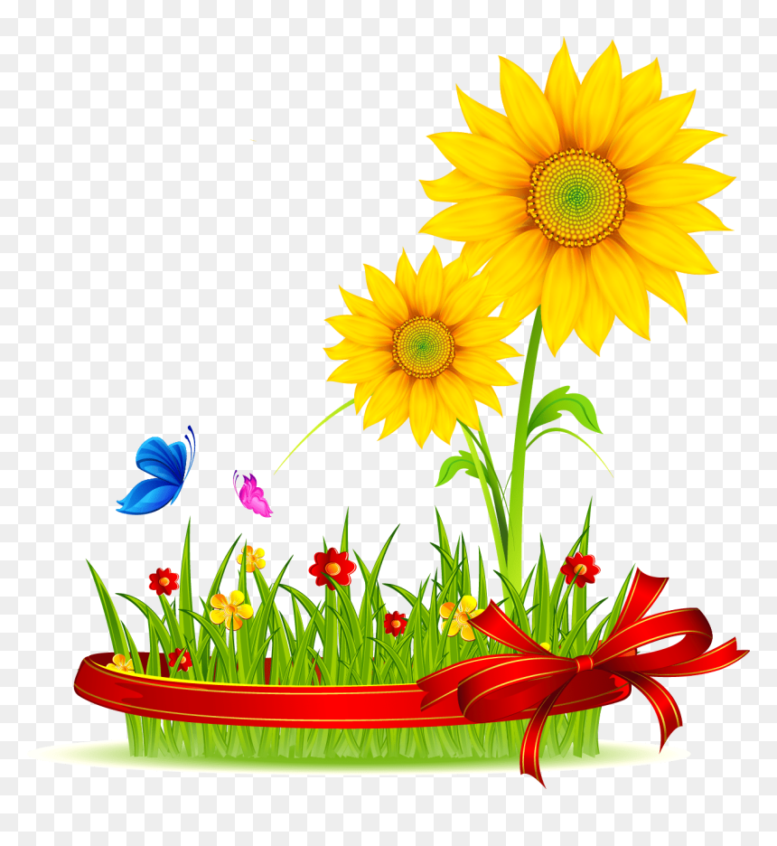 Vector Background With Yellow Sunflowers, HD Png Download - sunflower vector png