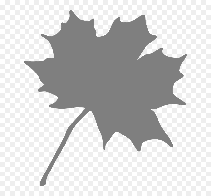 Black Maple Leaf Clip Art, HD Png Download - leaf silhouette png