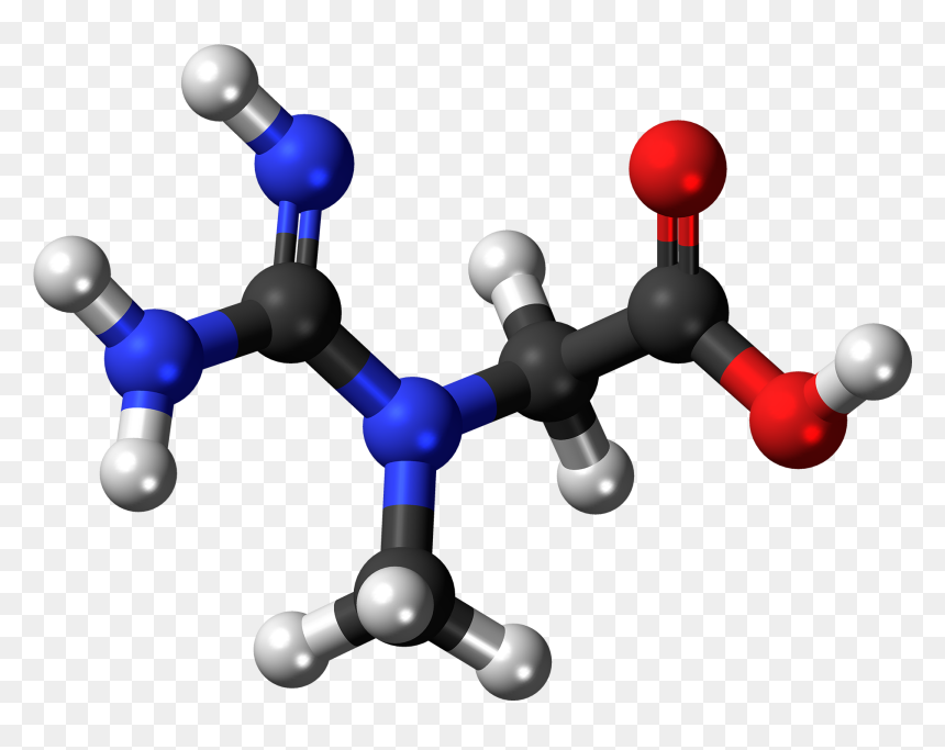 Creatine Molecule Ball - Methyl Methacrylate Molecular Size, HD Png Download - molecule png