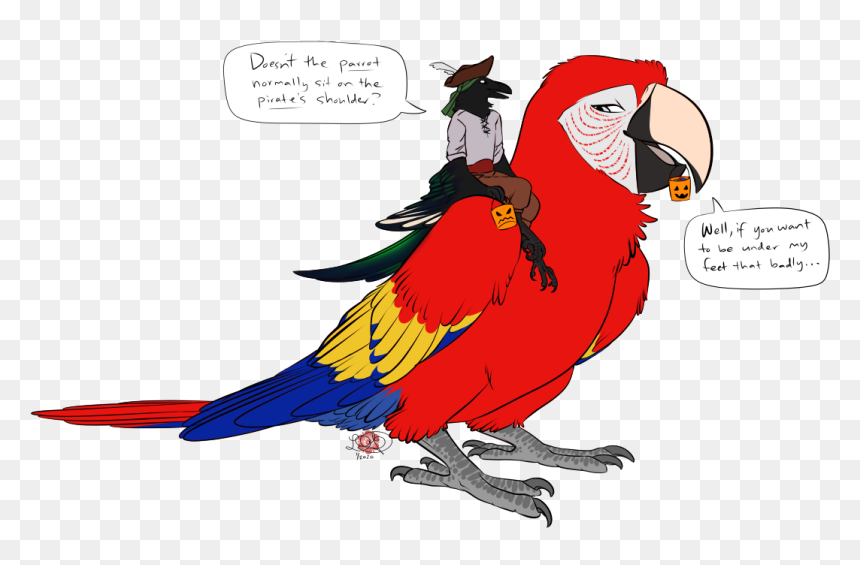 Pirates - Macaw, HD Png Download - pirate parrot png