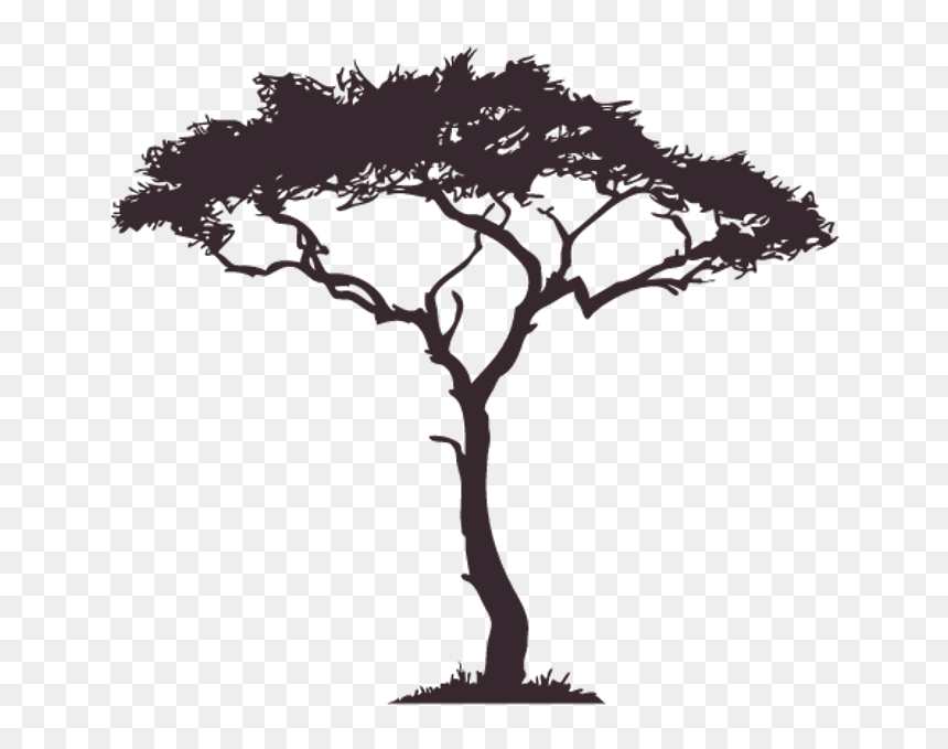 #tree #silhouette #shadow #nightime #surrealism #overlay - African Tree Silhouette, HD Png Download - tree shadow png