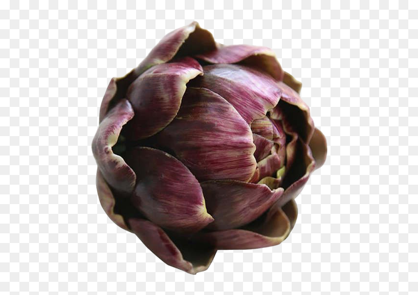 Purple Artichoke Png Background - Flower, Transparent Png - purple background png