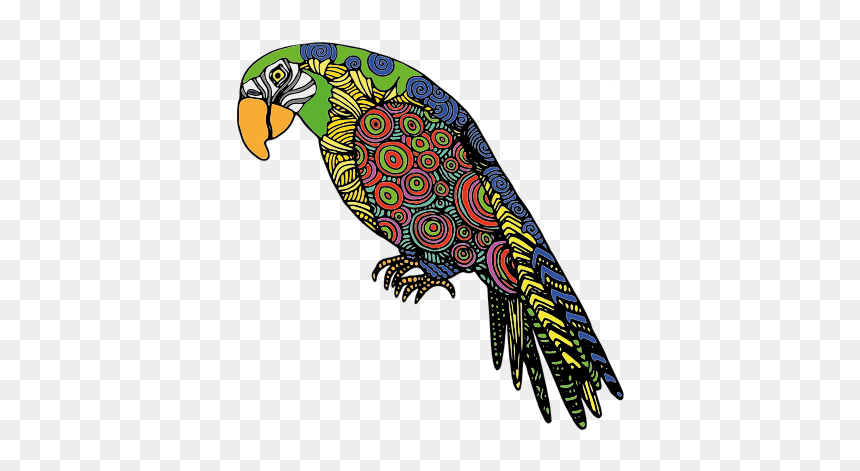 Abstract Parrot - Colour Drawing In Birds, HD Png Download - pirate parrot png