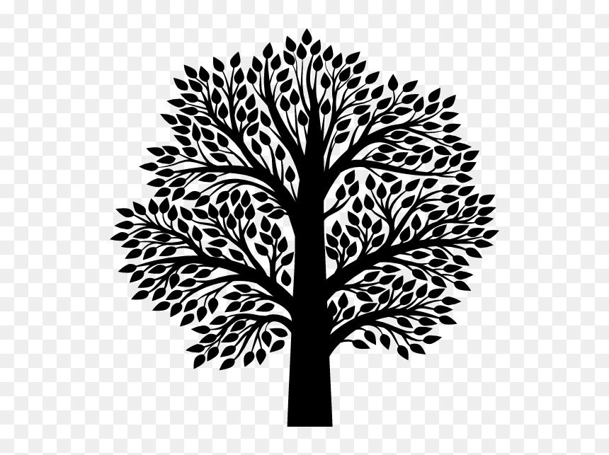Gratitude For Someone, HD Png Download - tree shadow png