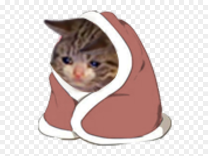 Cat Felidae Small To Medium-sized Cats Product Whiskers - Cat In A Blanket, HD Png Download - crying meme png