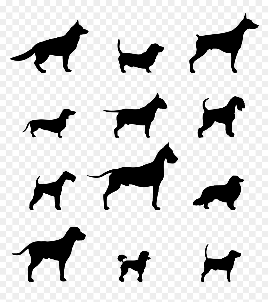 Dog On Motorcycle Clipart Png Transparent Library Pin - Silhouette Chien Png, Png Download - motorcycle silhouette png