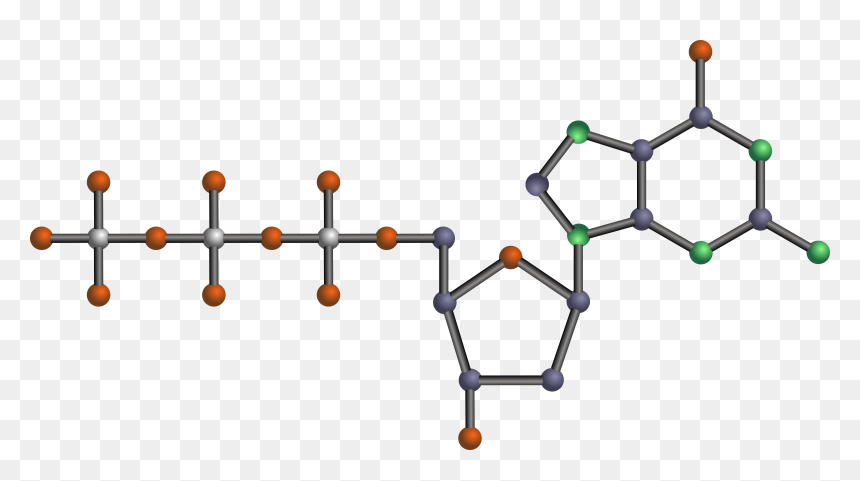 Dgtp Dna Molecule Clip Arts - Nucleotide Clipart, HD Png Download - molecule png