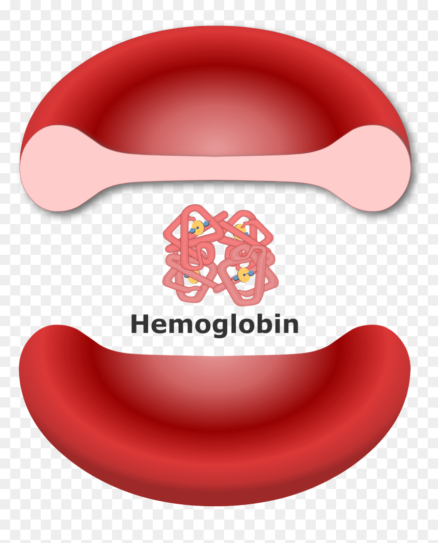 Red Blood Cells Hemoglobin, HD Png Download - molecule png