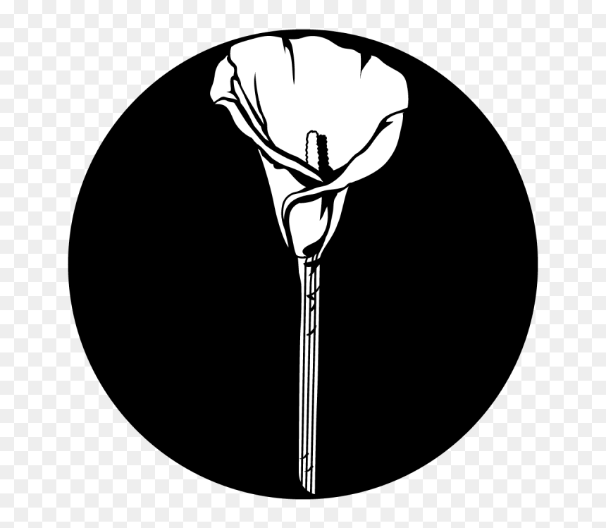 Lonely Calla Lily , Png Download - Illustration, Transparent Png - calla lily png