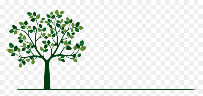 Tree Trimming & Removal From The Experts, HD Png Download - tree shadow png