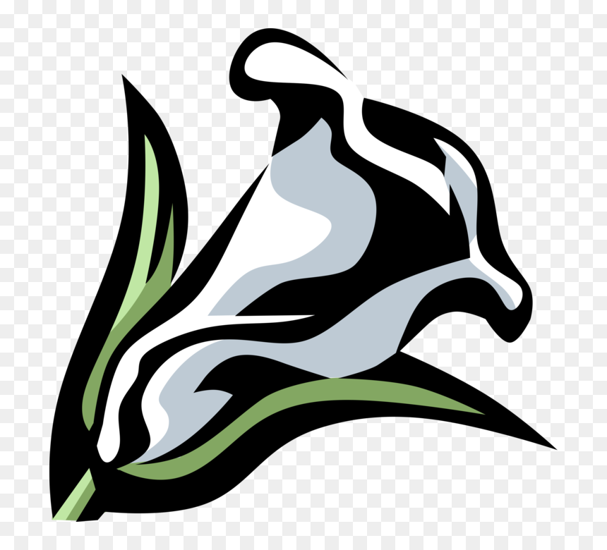 Vector Illustration Of Calla Lily Botanical Horticulture - Calla Lily Clip Art, HD Png Download - calla lily png