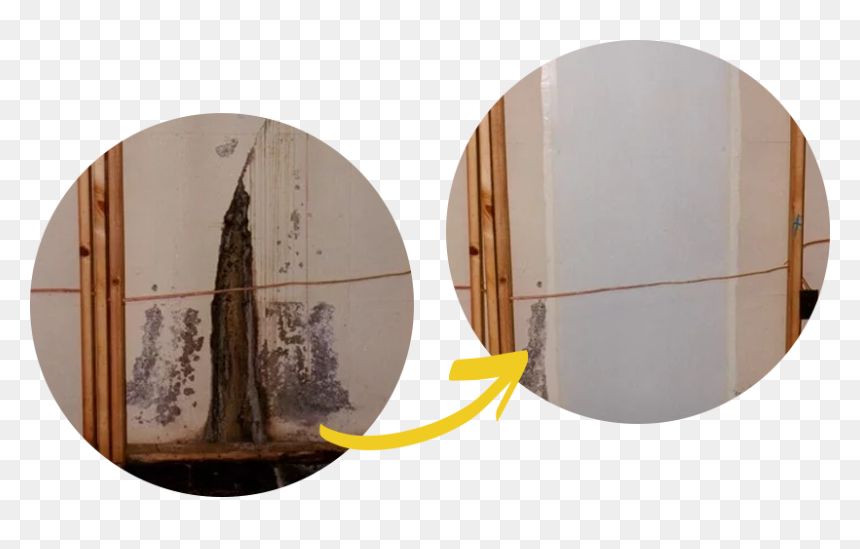 Have A Wall Crack That Needs Repair - Plywood, HD Png Download - wall crack png
