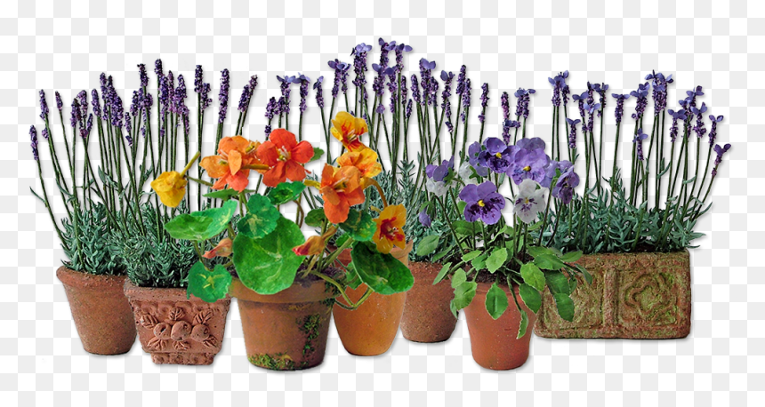 Transparent Summer Flowers Png , Png Download - Pansy, Png Download - summer flowers png