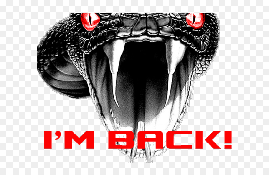 Drawn Snake Face - Viper Snake Im Back, HD Png Download - snake tongue png