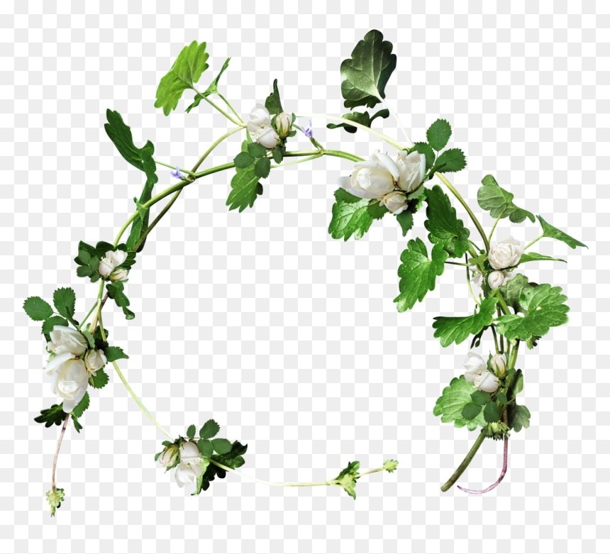 Transparent Christmas Holly Garland Clipart - Венок Из Цветов Пнг, HD Png Download - holly garland png