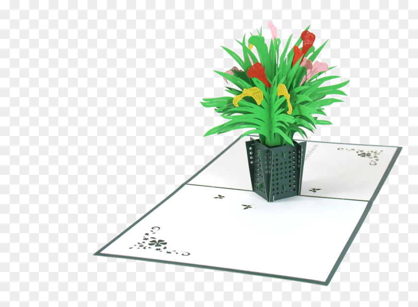 Calla Lily Basket - Houseplant, HD Png Download - calla lily png