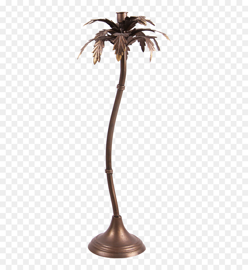 Ma43 - Attalea Speciosa, HD Png Download - desert plant png