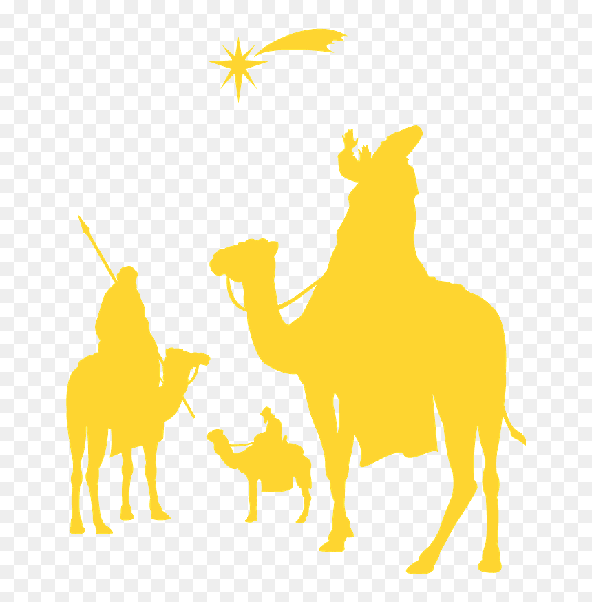 Arabian Camel, HD Png Download - star of bethlehem png