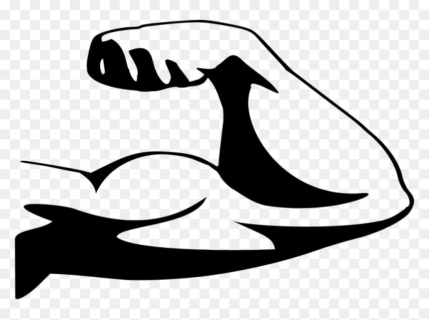 Thumb Image - Biceps Clipart, HD Png Download - bicep png