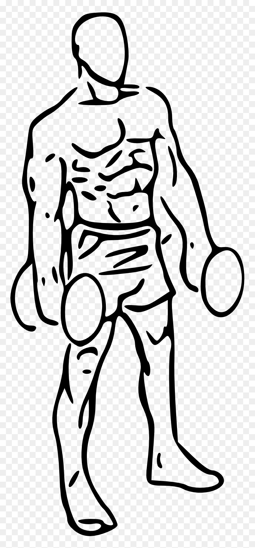 Image Transparent Stock Bicep Drawing Male - Bicep Curl Clip Art, HD Png Download - bicep png