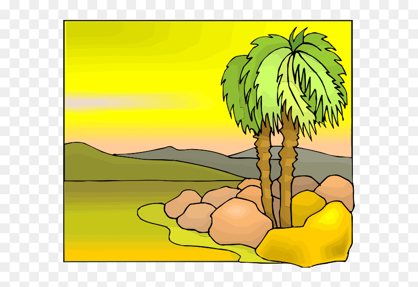 Tropical Tree Color Illustration - Sabal Palmetto, HD Png Download - tropical tree png