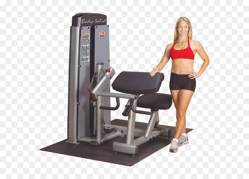 Pro Dual Bicep & Tricep Machine - Body Solid Preacher Curl Machine, HD Png Download - bicep png