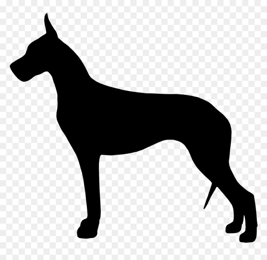 Great Dane Silhouette Images At Getdrawings - Great Dane Silhouette Vector, HD Png Download - great dane png
