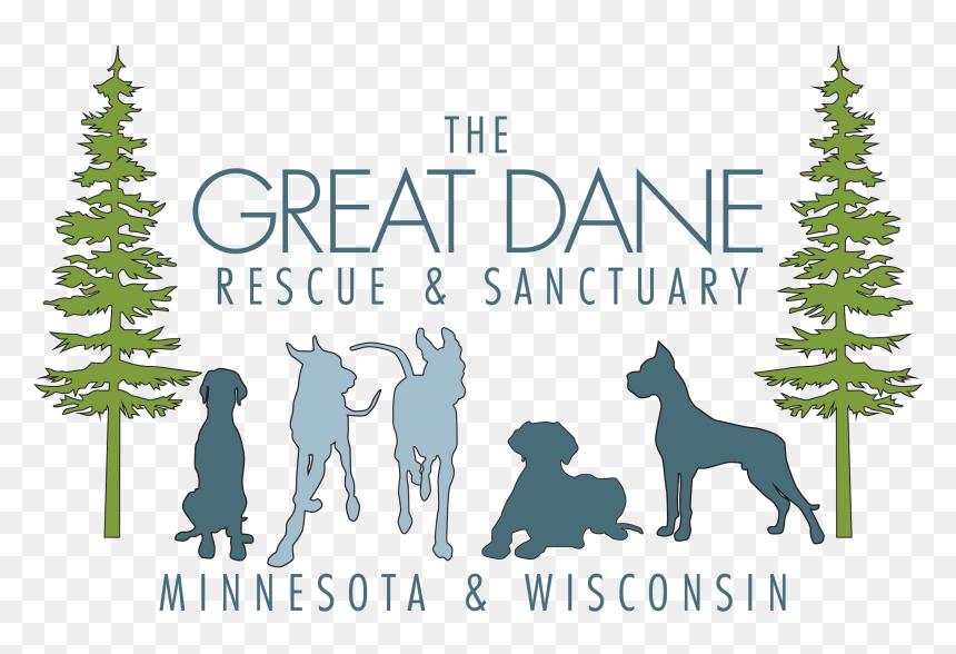 Great Dane , Png Download - Great Dane, Transparent Png - great dane png