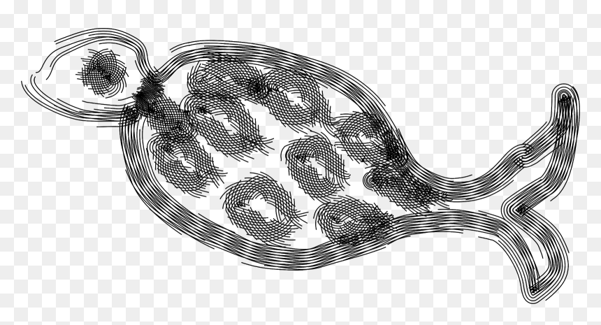 Fish Vector Clipart Black & White - Illustration, HD Png Download - fish vector png
