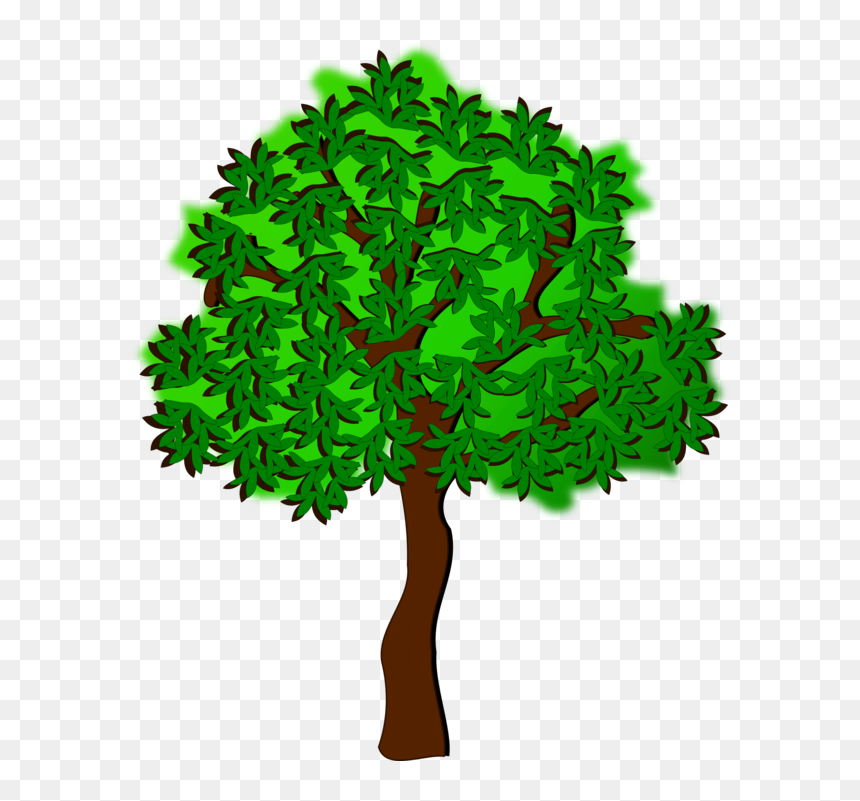 Plant,leaf,tree - Summer Tree Clipart, HD Png Download - autumn tree png