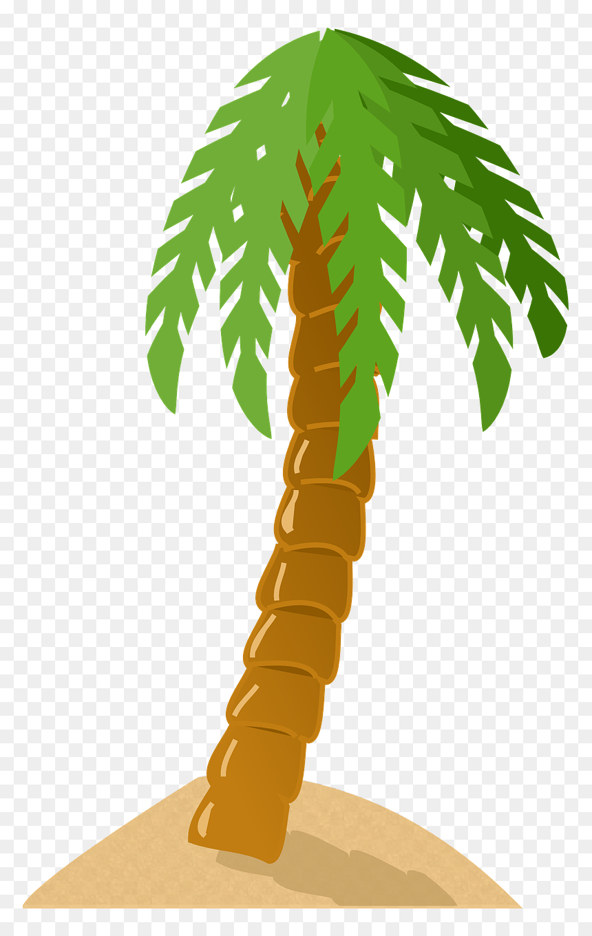Palm Tree Clip Art, HD Png Download - tropical tree png