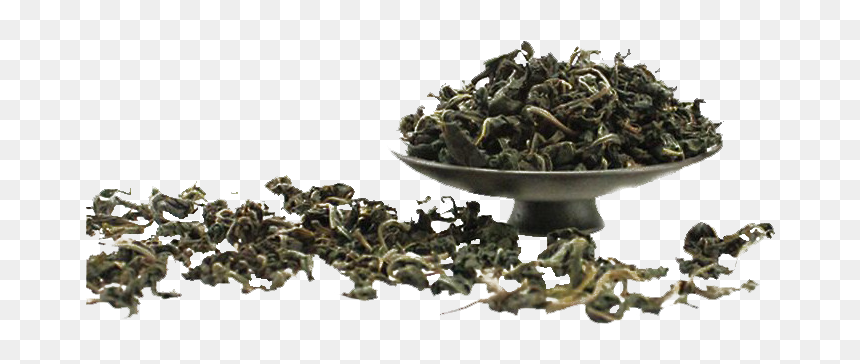 Nilgiri Oolong Tea Leaf Png Hd Image - Scrap, Transparent Png - tobacco leaf png