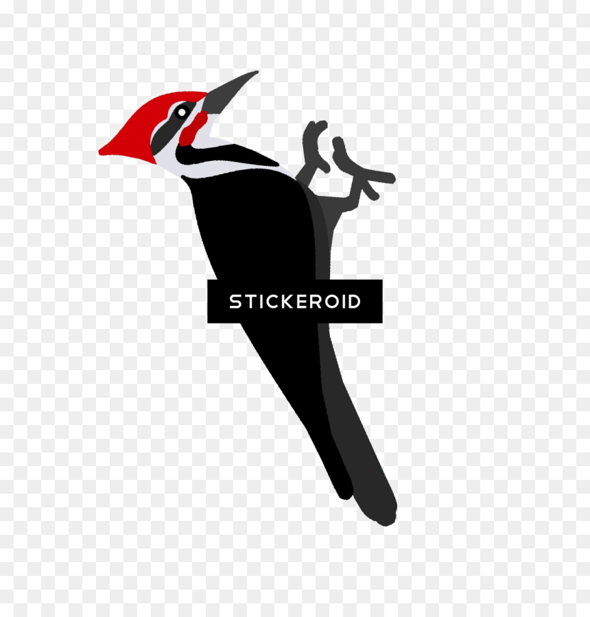 Pileated Woodpecker , Png Download - Woodpecker Logo Png Download, Transparent Png - woody woodpecker png