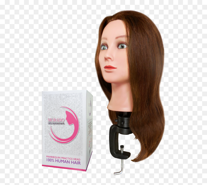 Morado Practice Mannequin Heads - Lace Wig, HD Png Download - mannequin head png