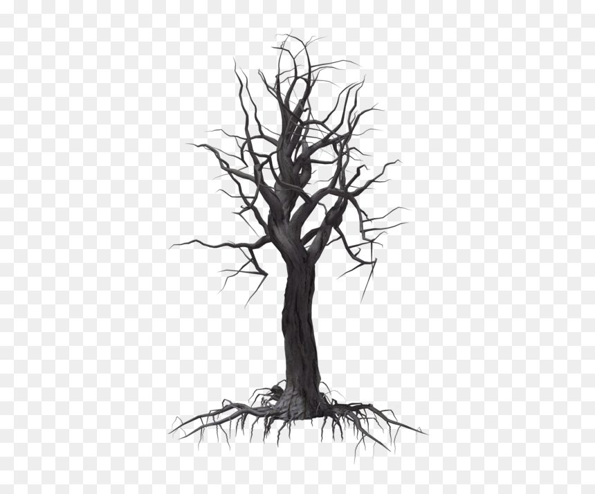 Creepy Tree 04 By Wolverine041269 On Clipart Library - Trees, HD Png Download - creepy tree png