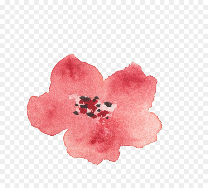 Of A Friends Wedding In The Summer Of - Artificial Flower, HD Png Download - summer border png