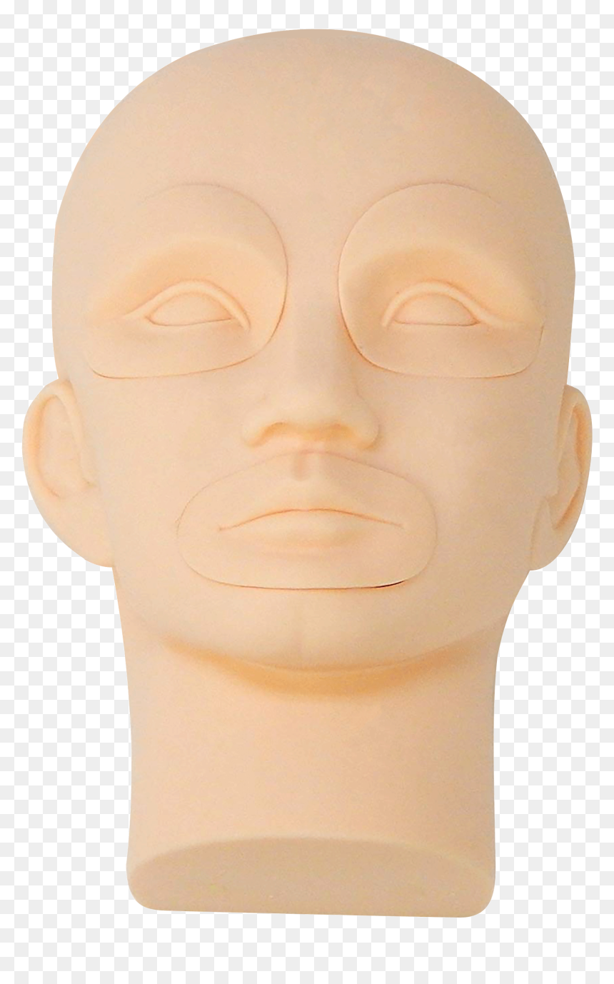 Bust, HD Png Download - mannequin head png