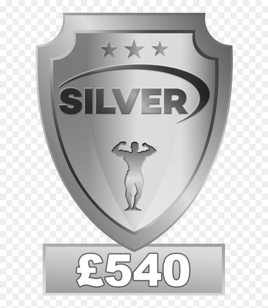 Emblem, HD Png Download - silver shield png