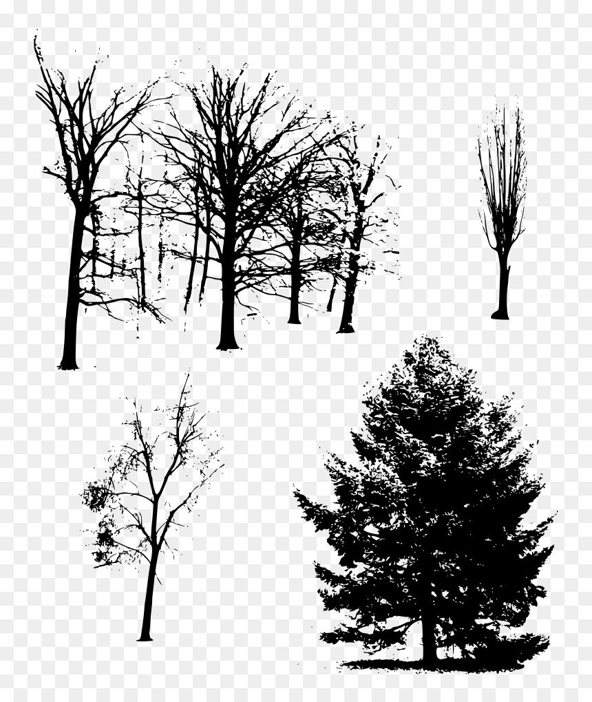 Portable Network Graphics, HD Png Download - creepy tree png