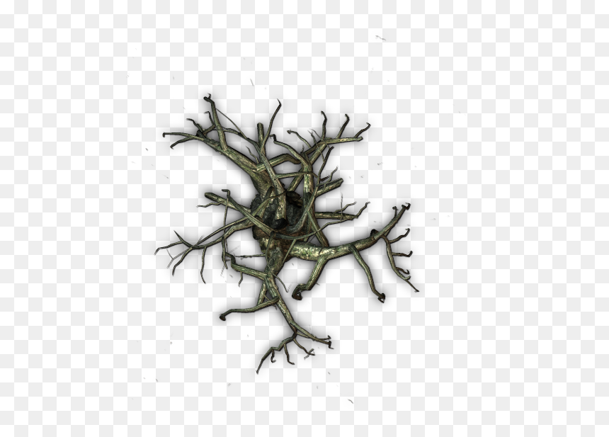 Portable Network Graphics, HD Png Download - creepy tree png