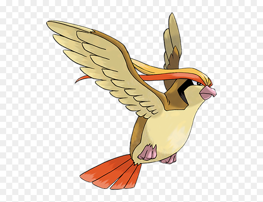 Pidgeot Pok Mon Overdose - Pidgeot Pokemon, HD Png Download - woody woodpecker png