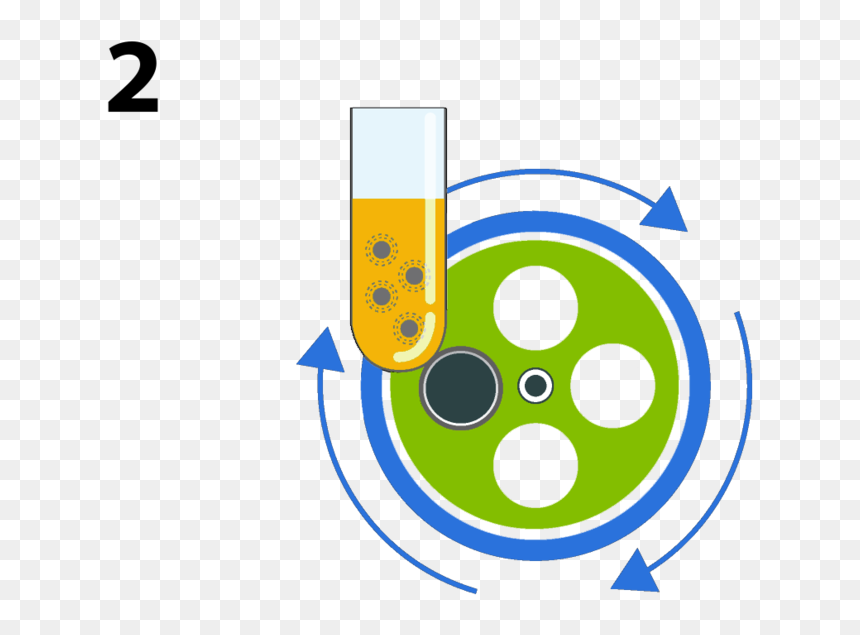 Stem Cell Steps 2 - Circle, HD Png Download - hell in a cell png