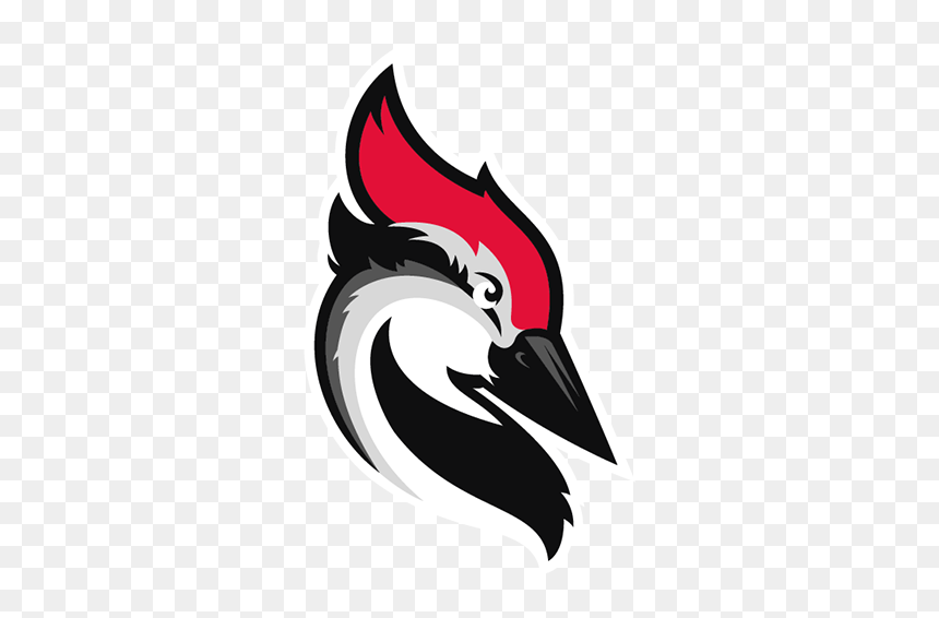 Woodpecker Cold Email, HD Png Download - woody woodpecker png
